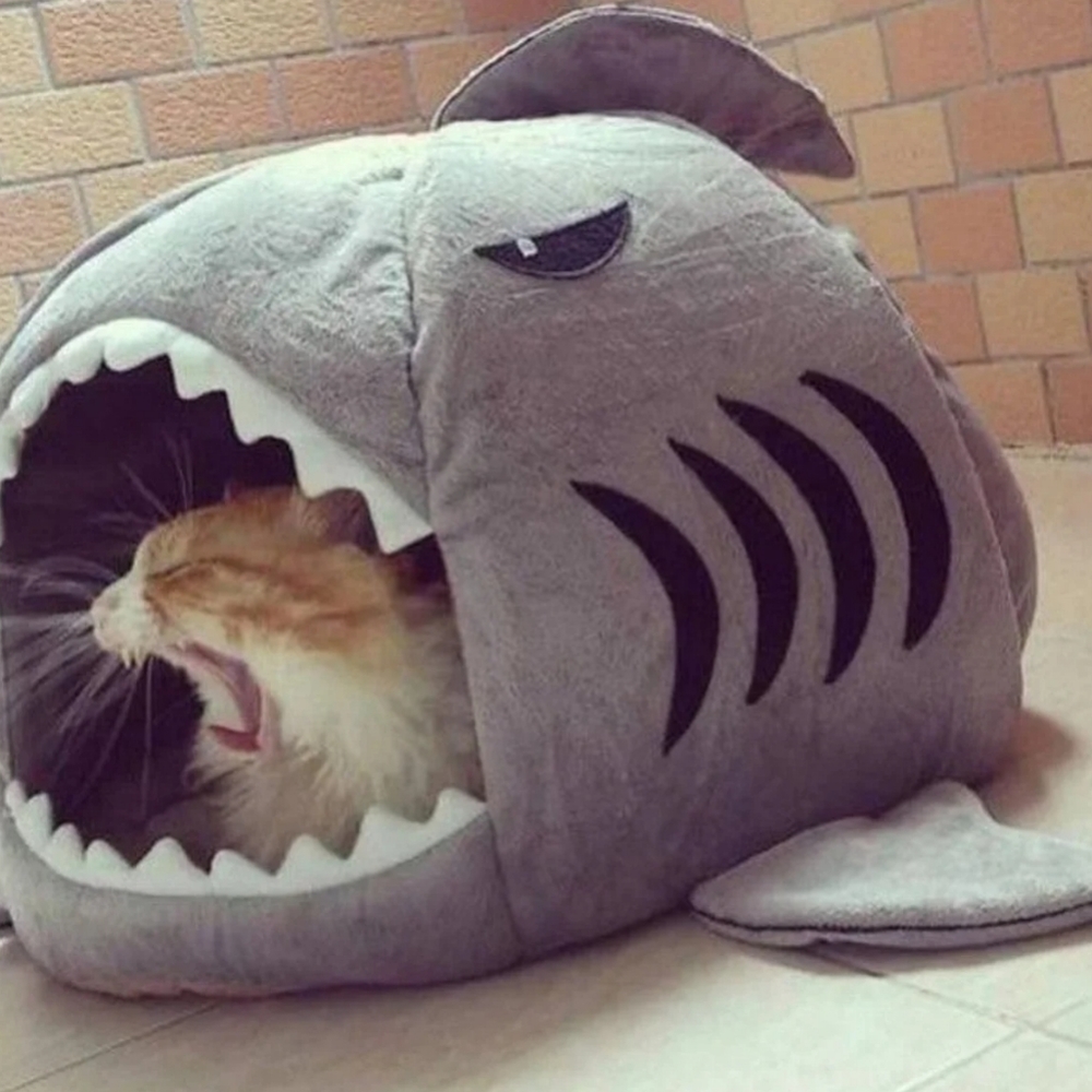 Cat shark bed